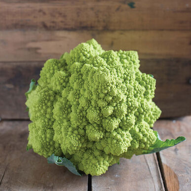 Picture of a head of romanesco cauliflower