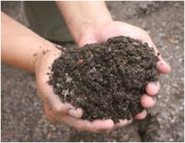 Picture of cupped hands holding very nutritious soil