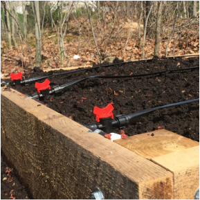 Close-up Picture of the end of a raised garden bed with drip irrigaiton installed 