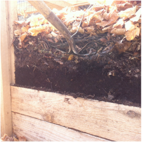 Picture of compost bin with compost 