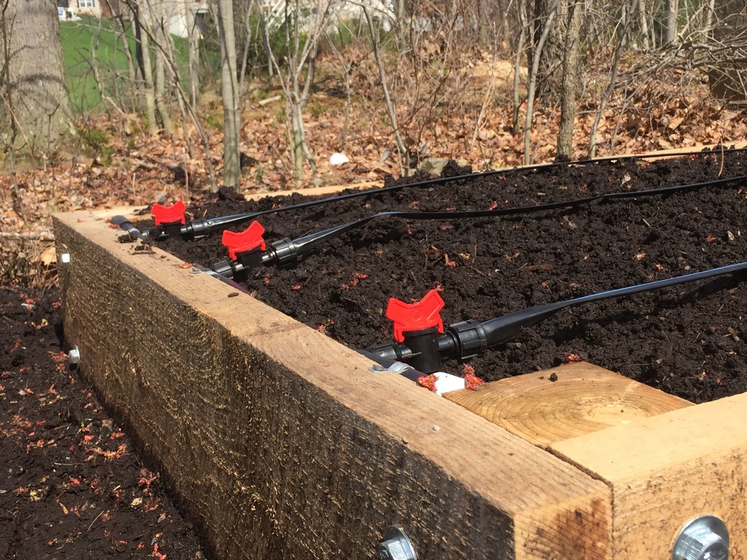 Picture of a raised bed with irrigation components visible