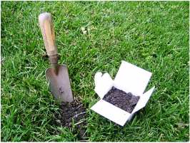 Picture of soil test kit