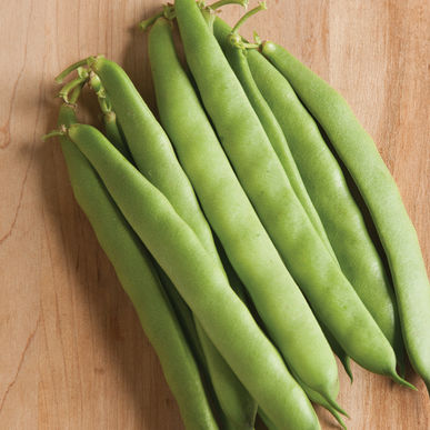 Picture of flat green bush beans
