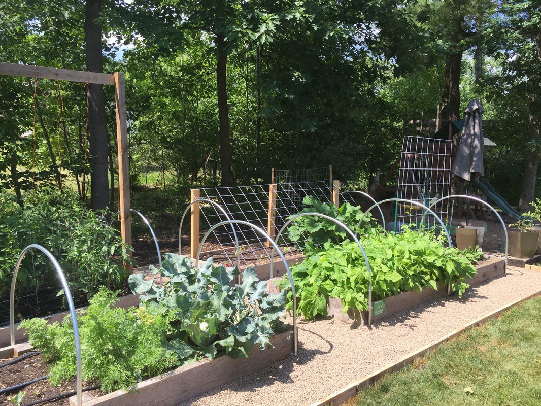Picture of conduit hoops attached to a raised bed ready to grow!