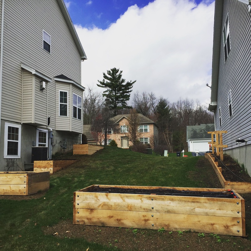 Picture of raised beds along two houses