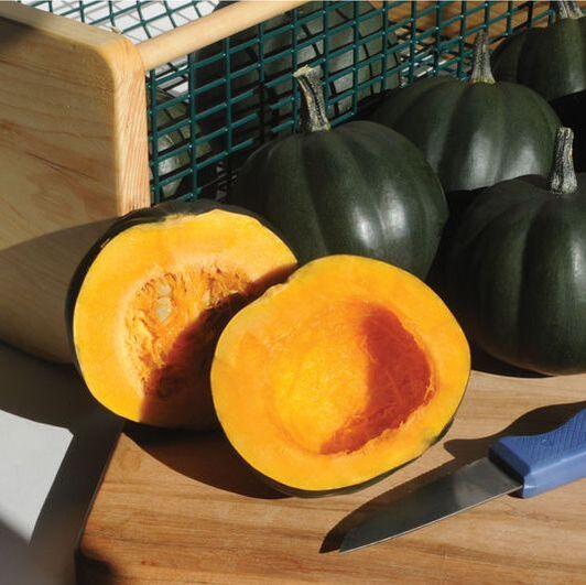 Photo of acorn squashes, one cut open with the seeds removed. This is a link to the Winter Squash section of Wilson Home Farm's Digital Seed Catalog