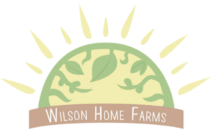 Wilson Home Farms Sun logo. Plants growing along the rim of a sun rising above the banner 