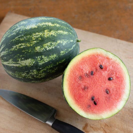 Photo of a watermelon. This is a link to the Melon section of Wilson Home Farm's Digital Seed Catalog