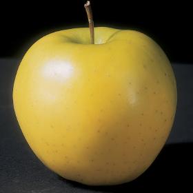 Picture of Mutsu apple