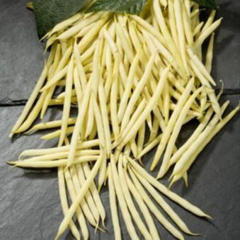 Picture of yellow bush beans