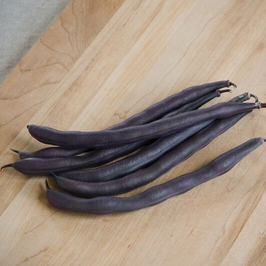 Picture of purple bush beans