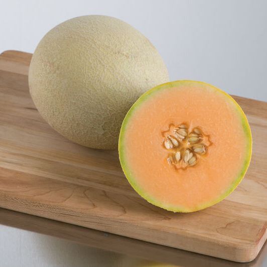 Picture of cantaloupe