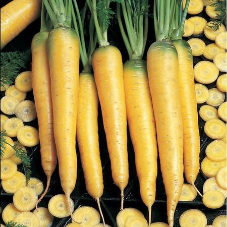 Picture of yellow carrots