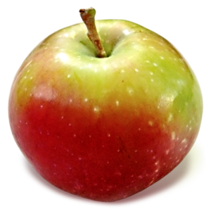 Picture of jerseymac apple