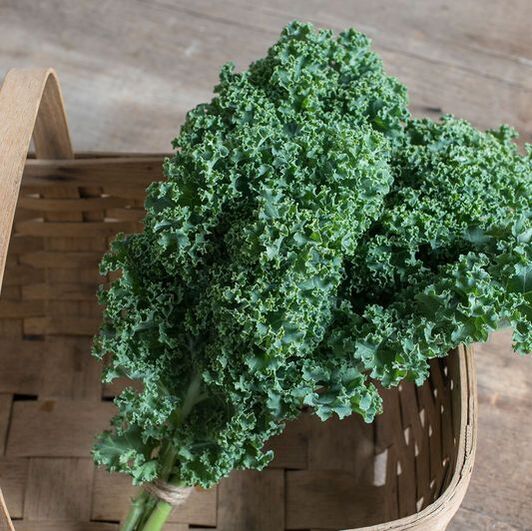 Picture of curly kale