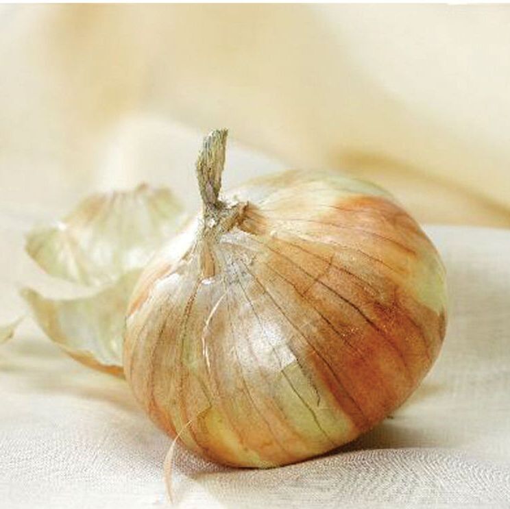 Picture of yellow walla walla onion