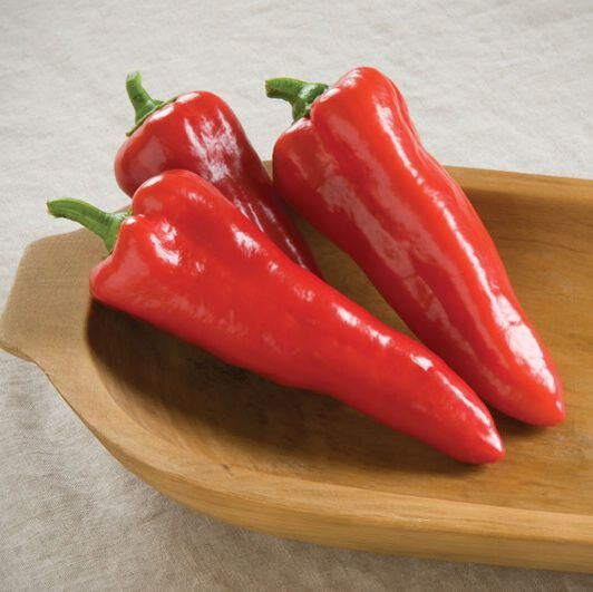 Picture of italian frying pepper