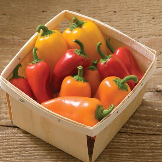 Picture a pint container of red, yellow and orange snacking peppers. 