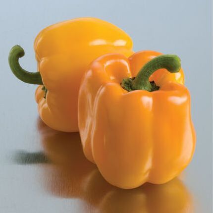 Picture yellow bell pepper