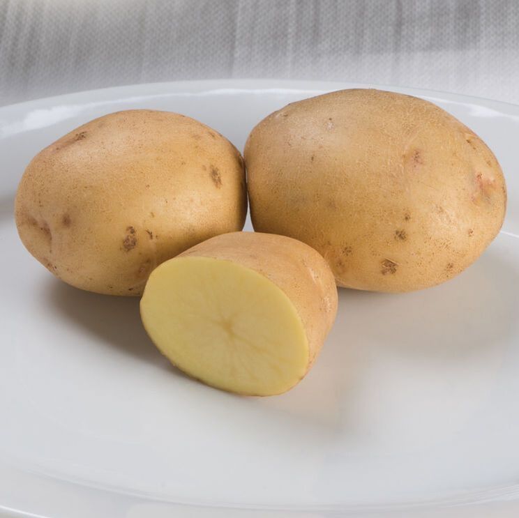 Picture of yukon gold potato