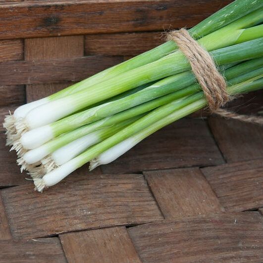 Picture of a bunch of scallion