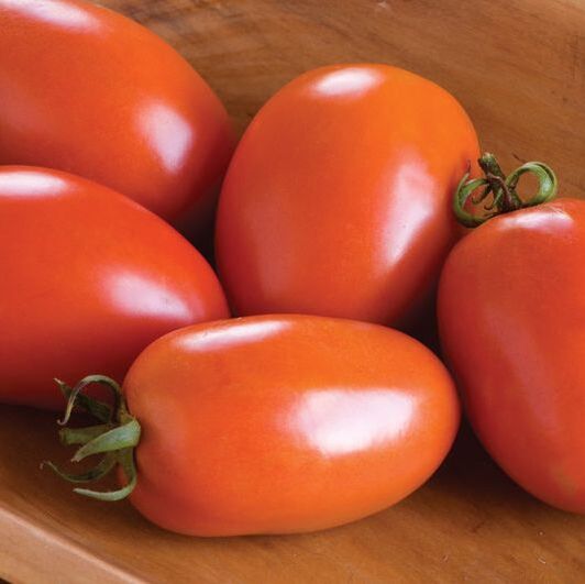 Picture of amish paste tomatoes in a bowl