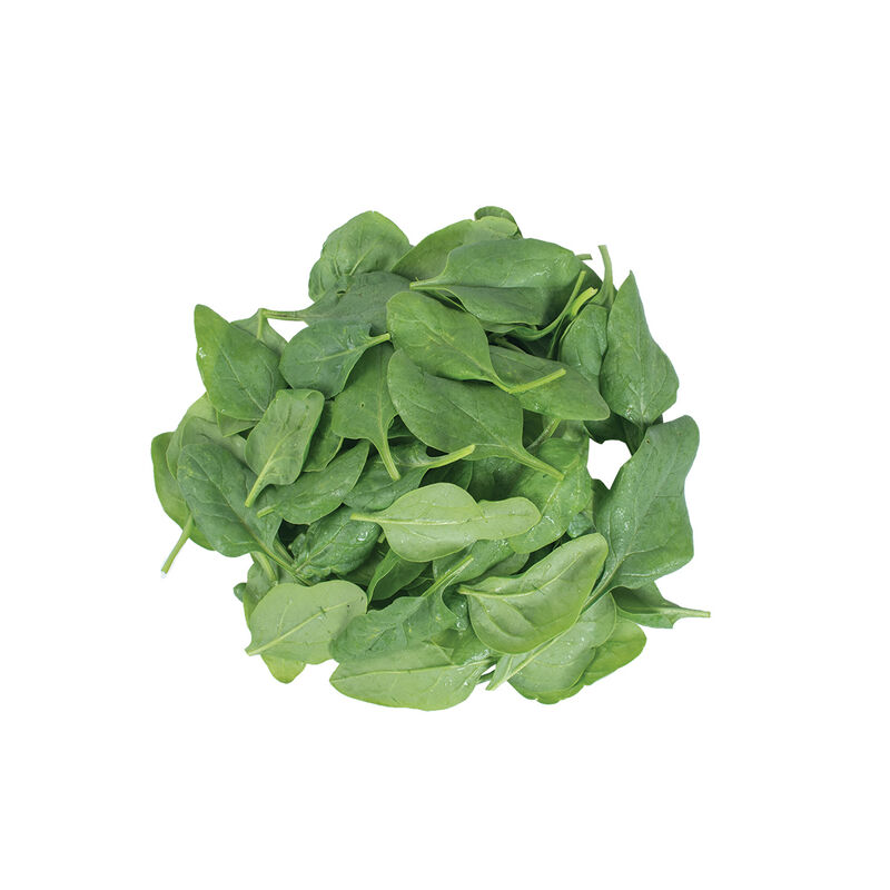 Picture of spinach 